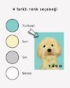 4 farklı renk Yağlı Boya Efektli Pet Portre Poster | Tablo