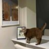 Artboard 10 Pet Portre Çizgisel Poster | Tablo