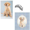pet portrait cartoon öncesi sonrası Cartoon Pet Portre Poster | Tablo