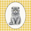 pet portrait cartoon sarı Cartoon Pet Portre Poster | Tablo