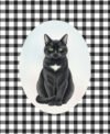 pet portrait cartoon siyah Cartoon Pet Portre Poster | Tablo
