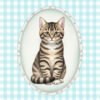 pet portrait cartoon turkuaz Cartoon Pet Portre Poster | Tablo