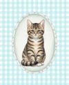 pet portrait cartoon turkuaz Cartoon Pet Portre Poster | Tablo